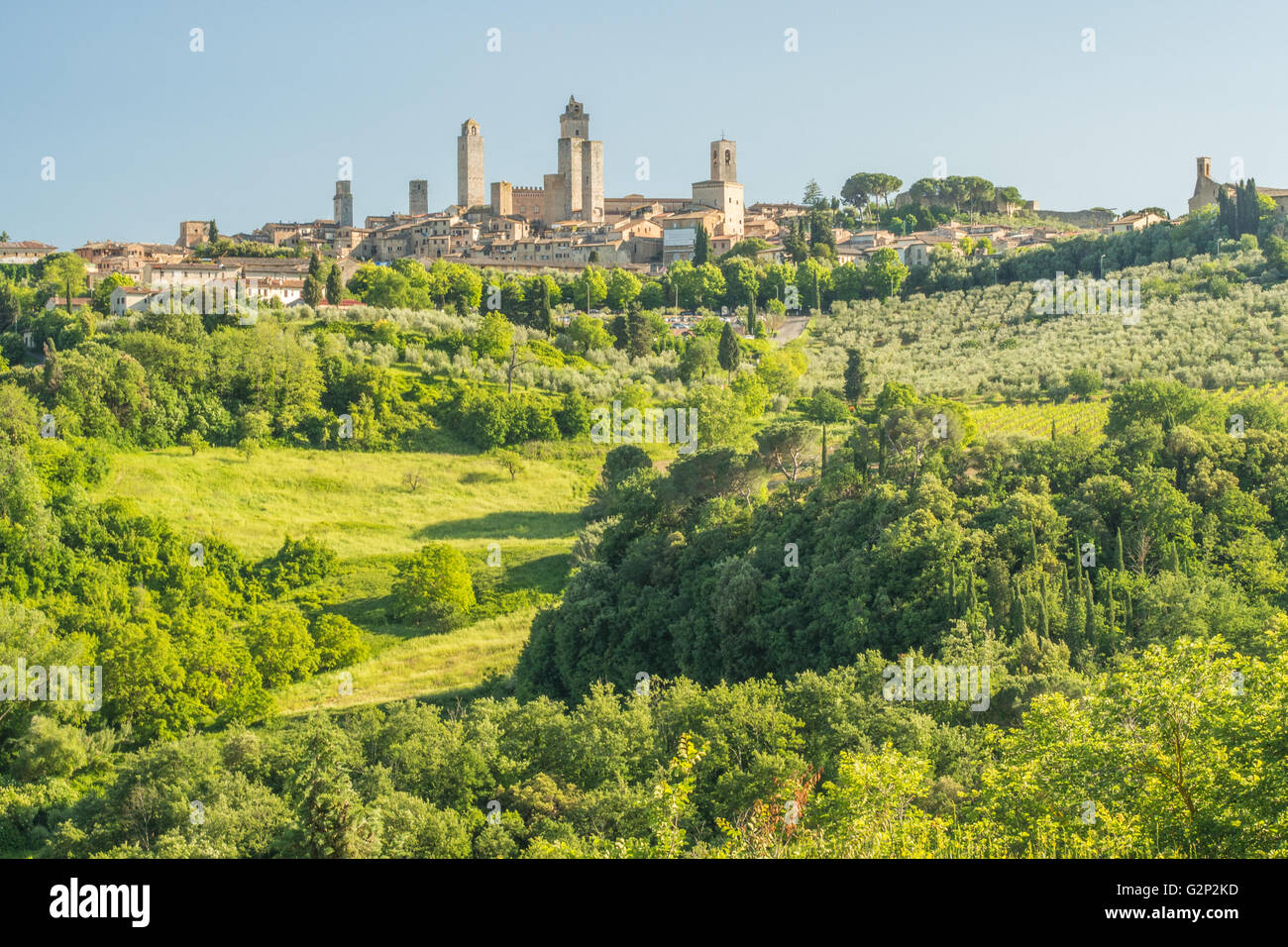 Vue sur San Gimignano dans son cadre rural, Toscane, Italie. Banque D'Images