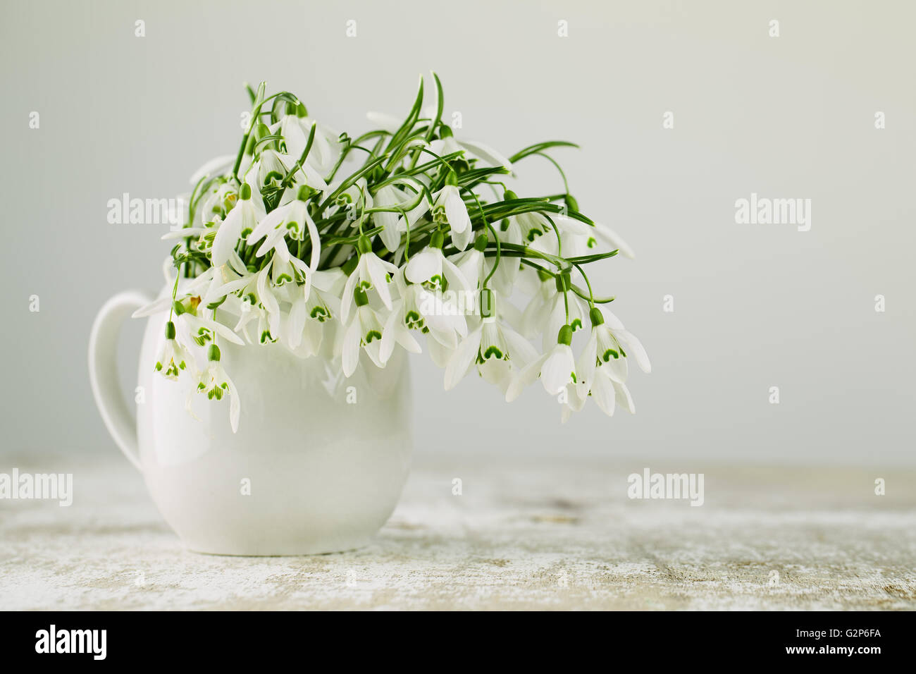 La vie encore classique avec de belles fleurs au printemps perce-neige blanc studio shot Banque D'Images