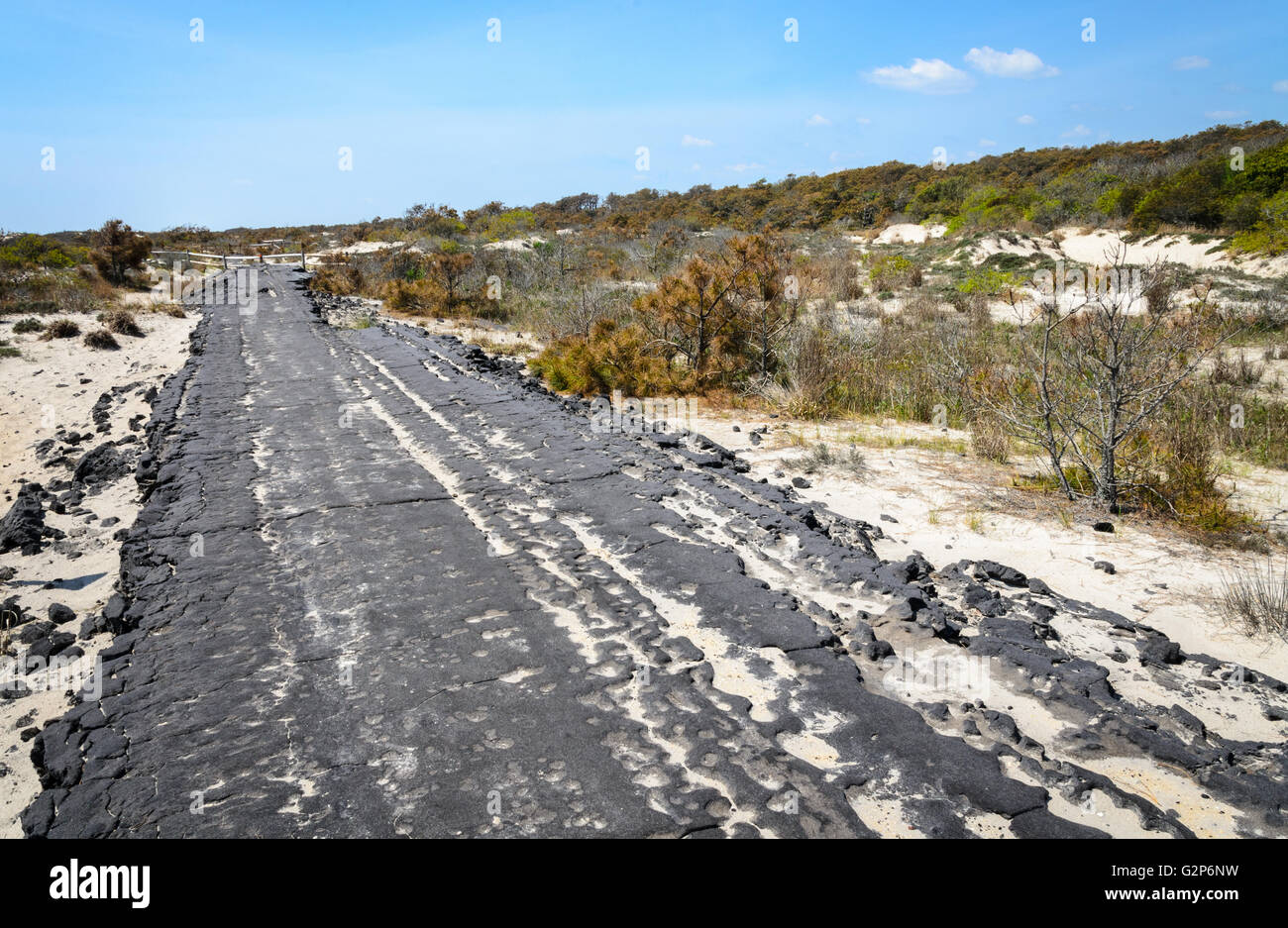 Assateague Island Banque D'Images