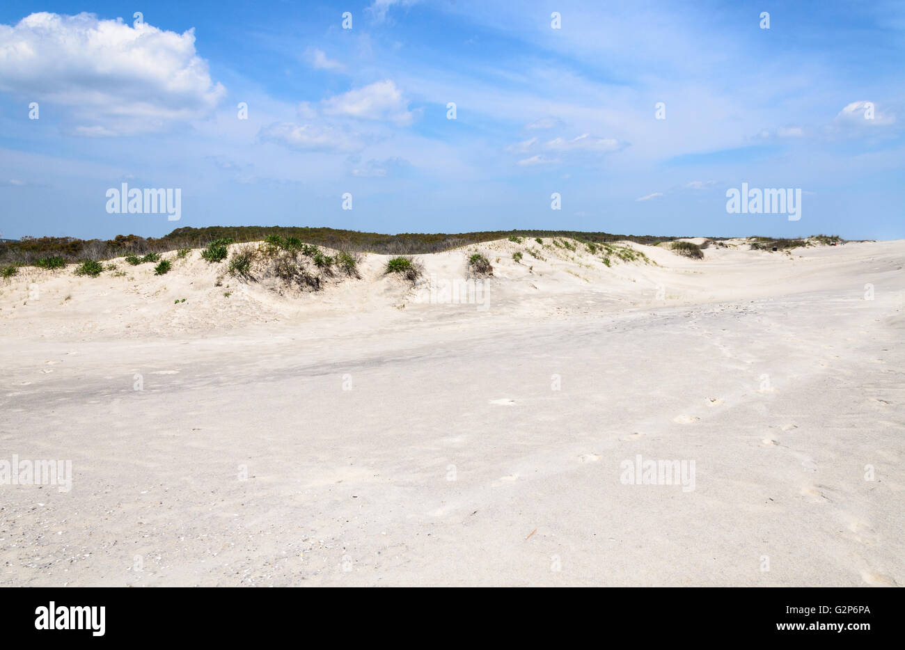 Assateague Island Banque D'Images