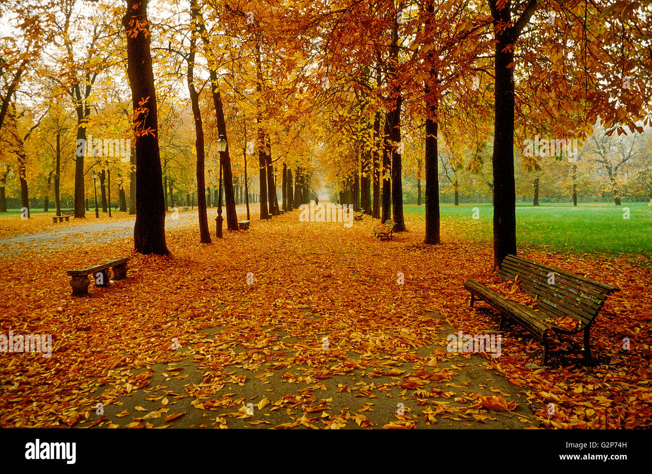 Les feuilles d'automne dans le Parco Ducale à Parme, Emilie-Romagne, Italie Banque D'Images