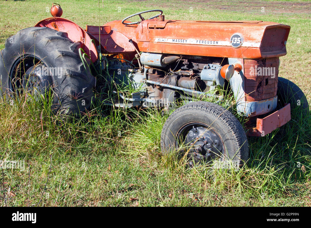 :Vintage rouge abandonnés en tracteur Massey Ferguson 135 farm yard envahis par l'herbe à Richmond, Afrique du Sud Banque D'Images