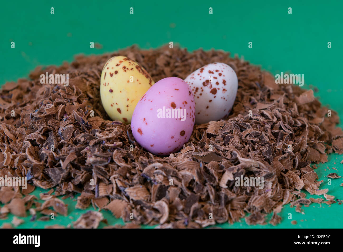 Des oeufs en chocolat nest Banque D'Images