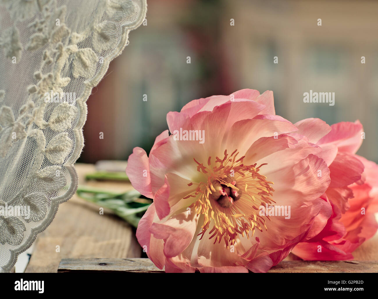 Les fleurs de couleur pastel à la fenêtre Banque D'Images