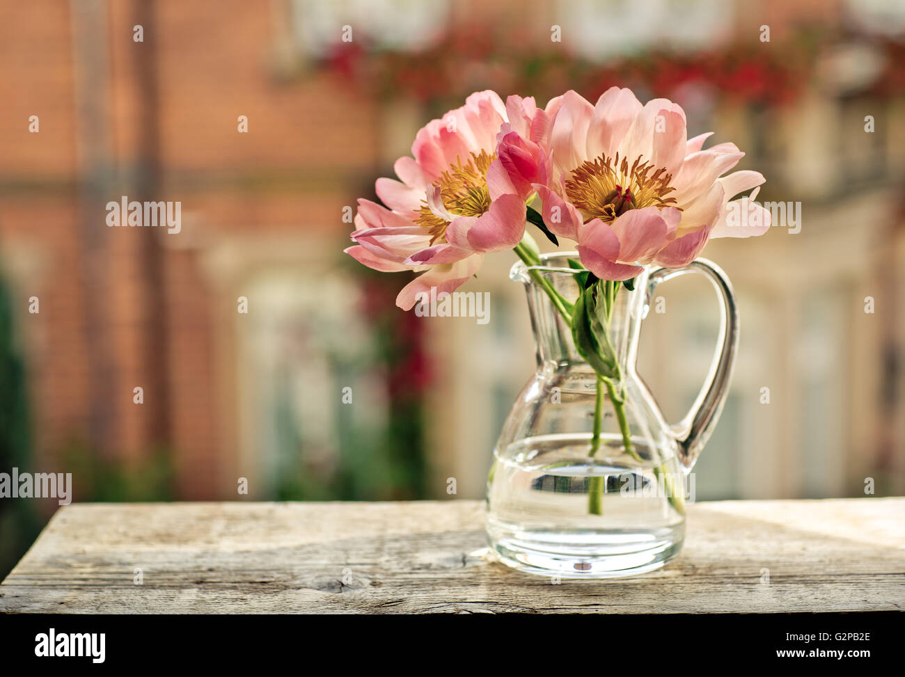 Les fleurs de couleur pastel à la fenêtre Banque D'Images