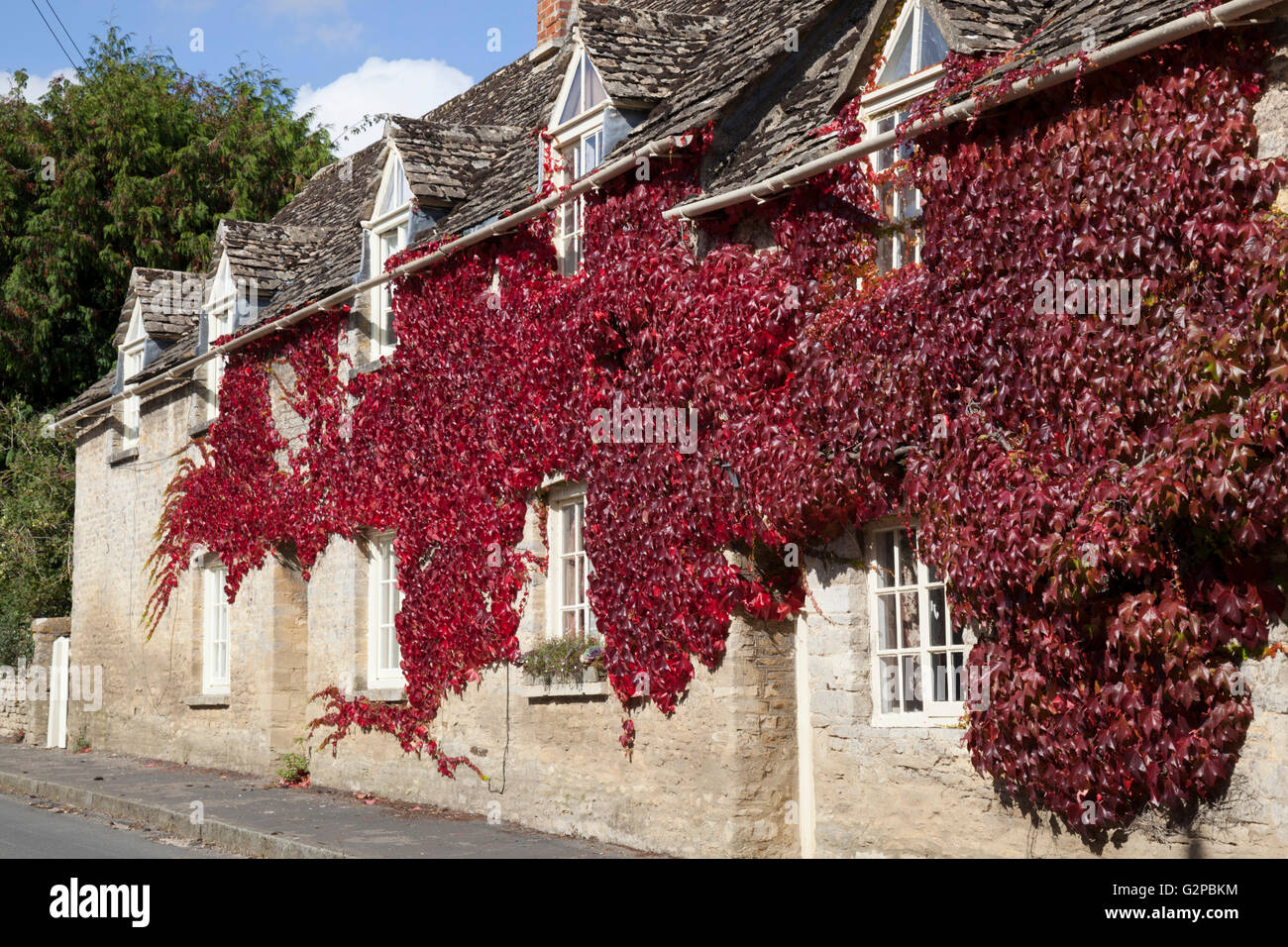 Ivy cottage rouge sur mur, Coln St Aldwyns, Cotswolds, Gloucestershire, Angleterre, Royaume-Uni, Europe Banque D'Images