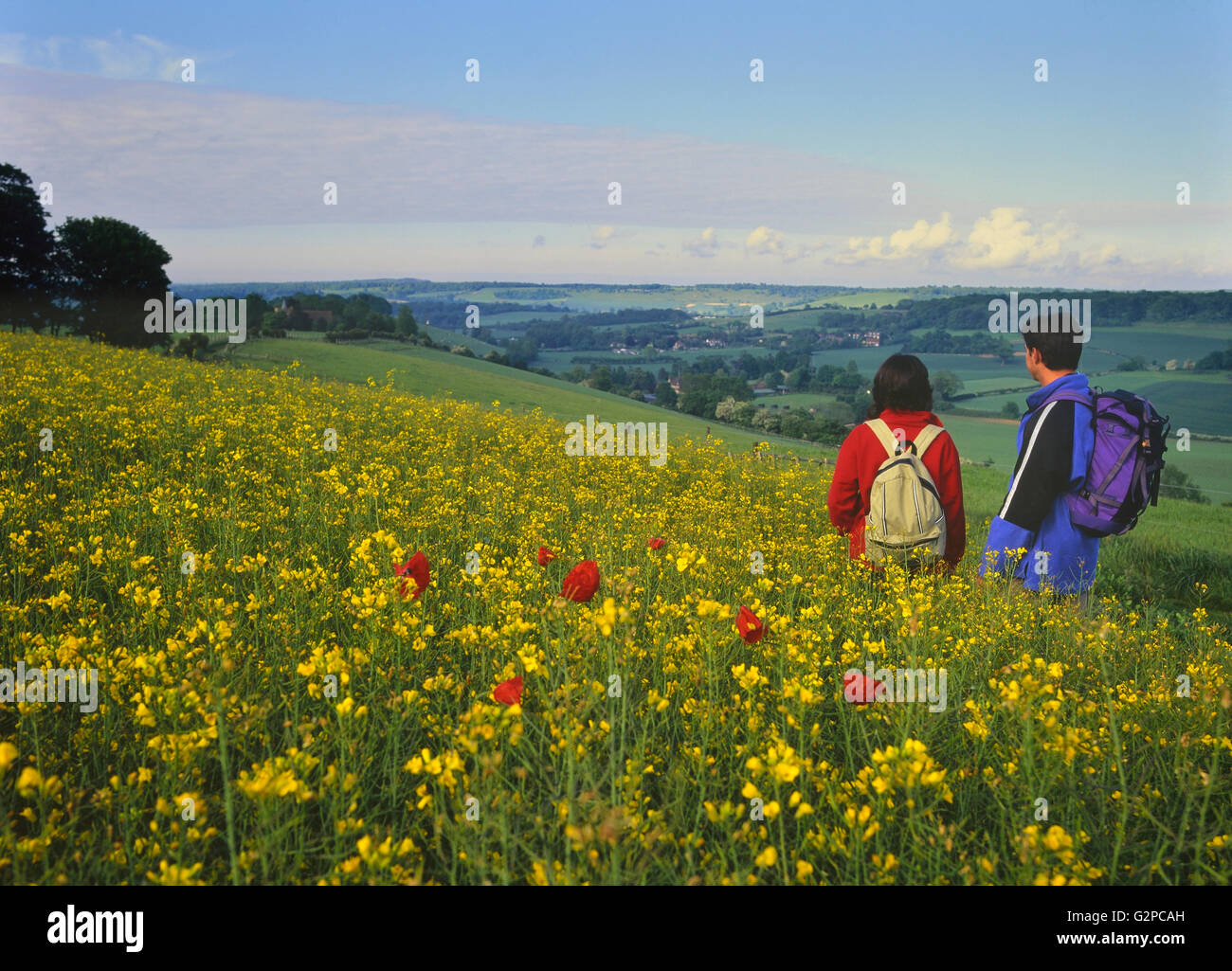 Un couple de randonneurs. Wye Downs. Kent. L'Angleterre. UK Banque D'Images