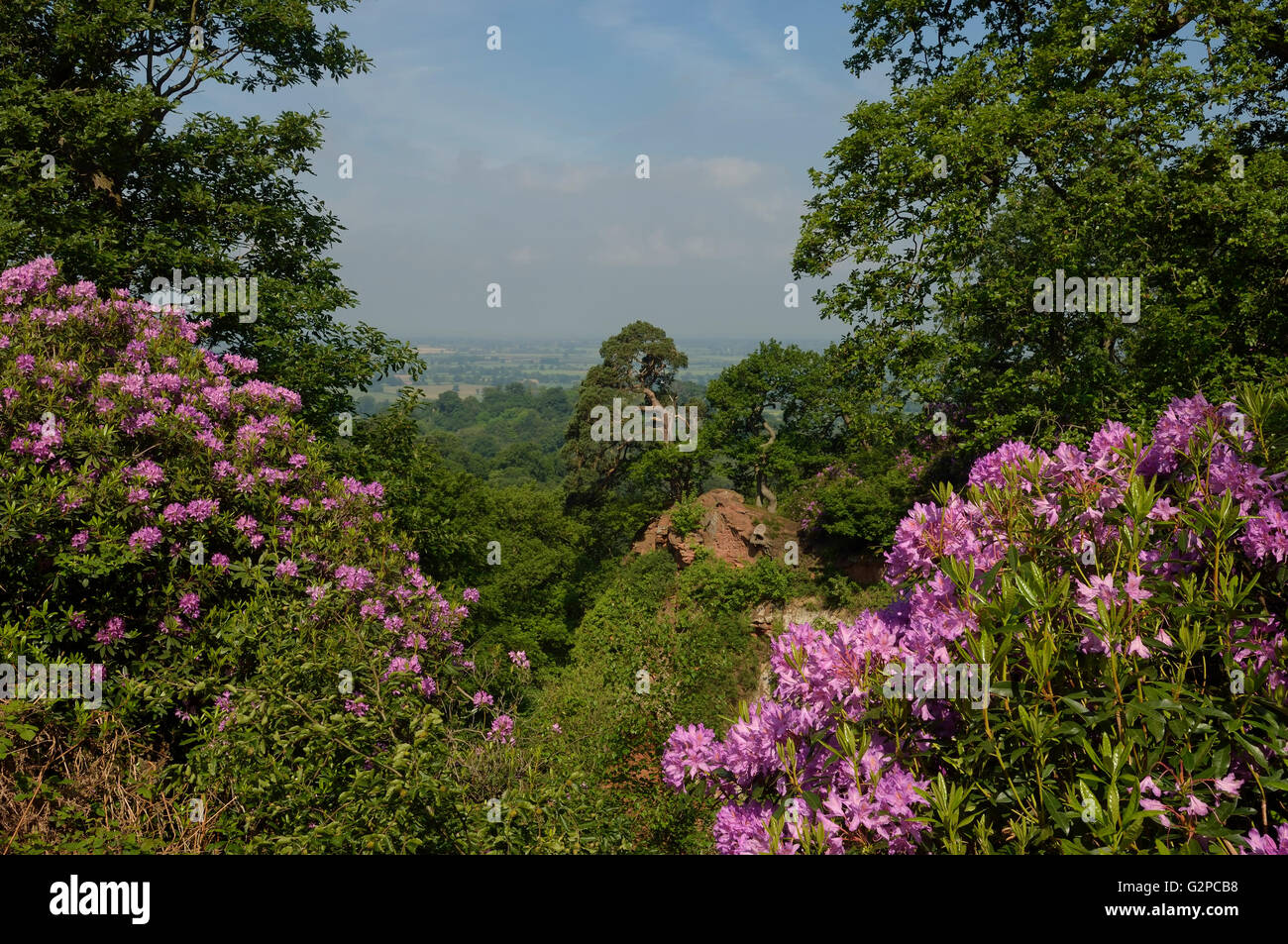 Voir d'Hawkstone Park Follies. Le Shropshire. L'Angleterre. UK. L'Europe Banque D'Images