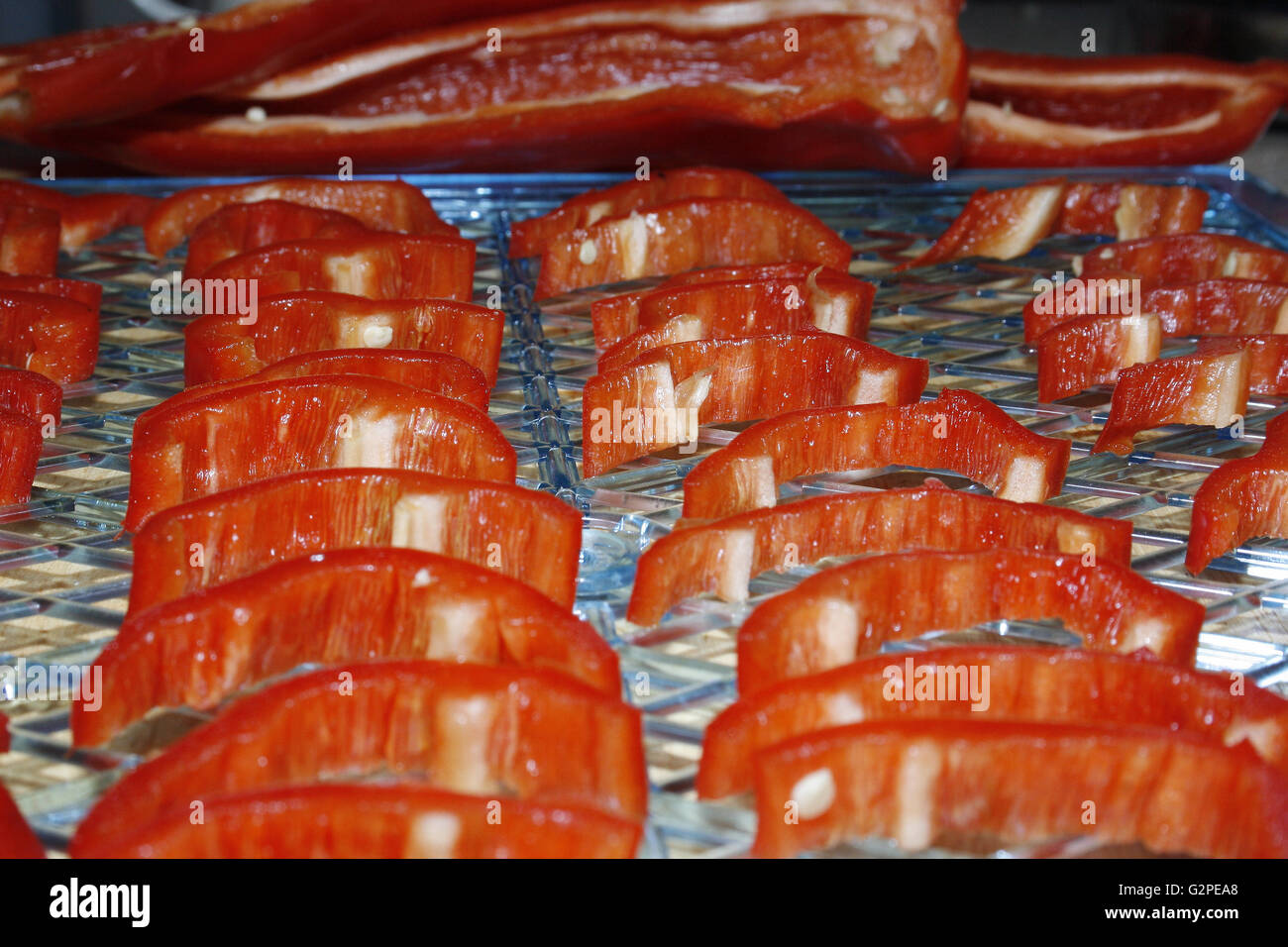 Poivrons rouges sur bac à déshydratation Capsicum Banque D'Images