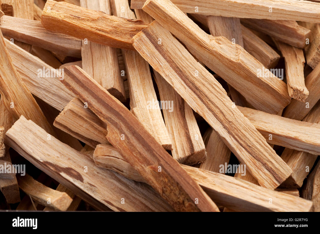Palo Santo Tree d'Encens Banque D'Images