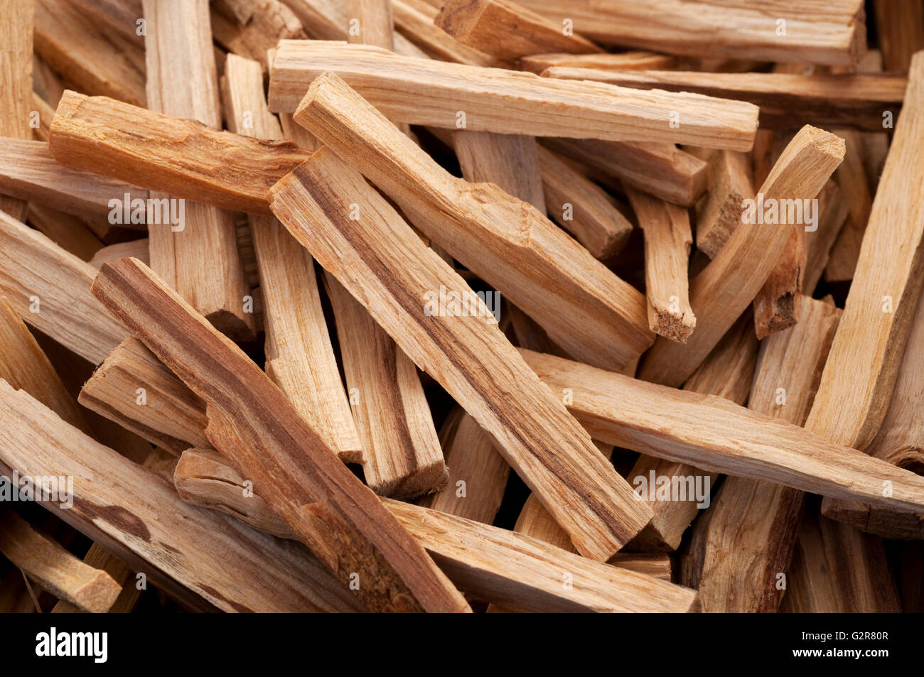 Palo Santo Tree d'Encens Banque D'Images