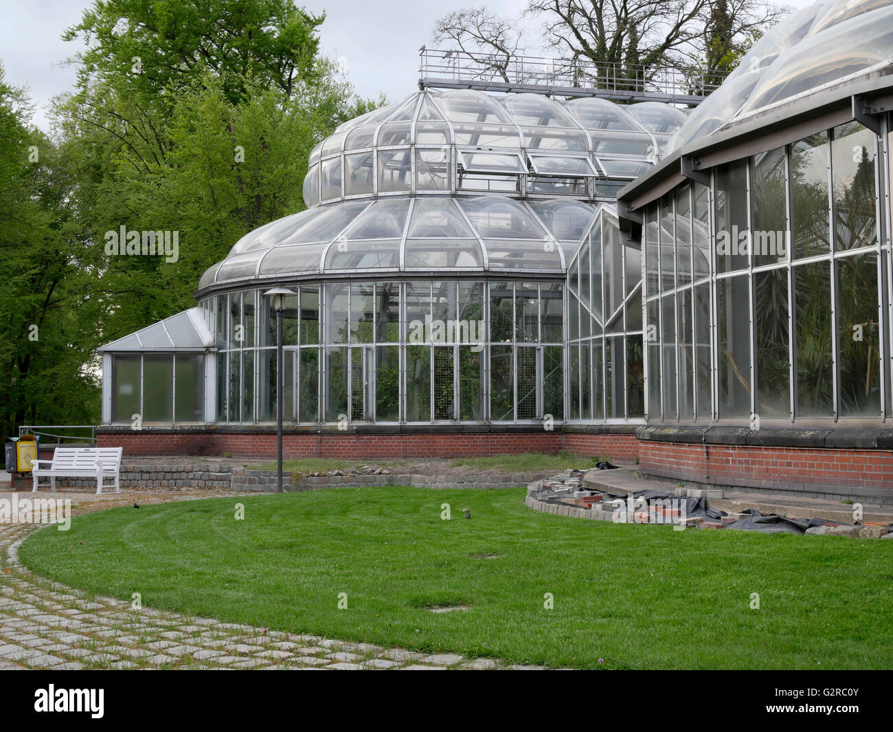 Dans les serres du Jardin Botanique et Jardin botanique de Berlin-Dahlem Museum, Berlin, Allemagne, UNION EUROPÉENNE Banque D'Images