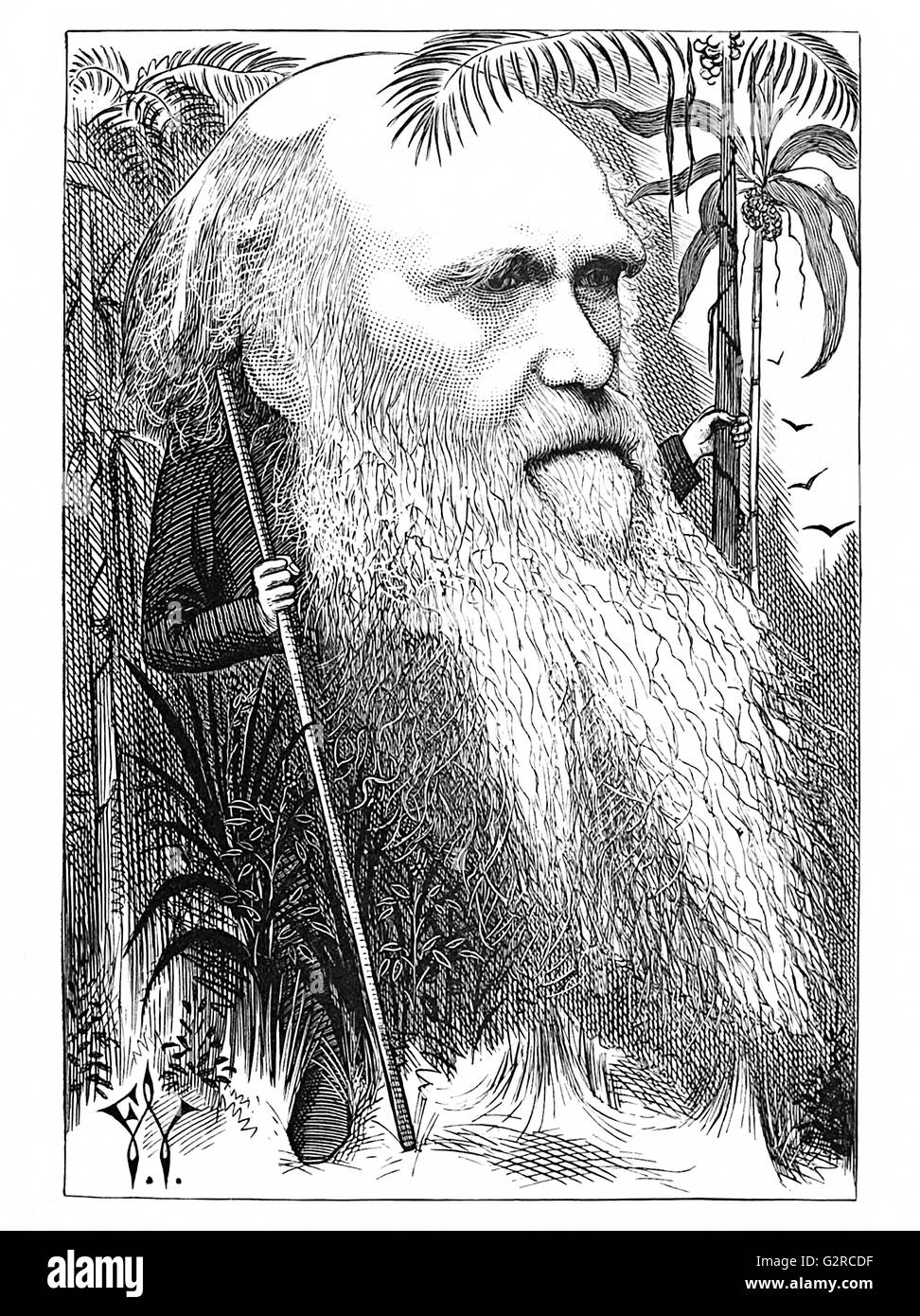 Charles Darwin Banque D'Images