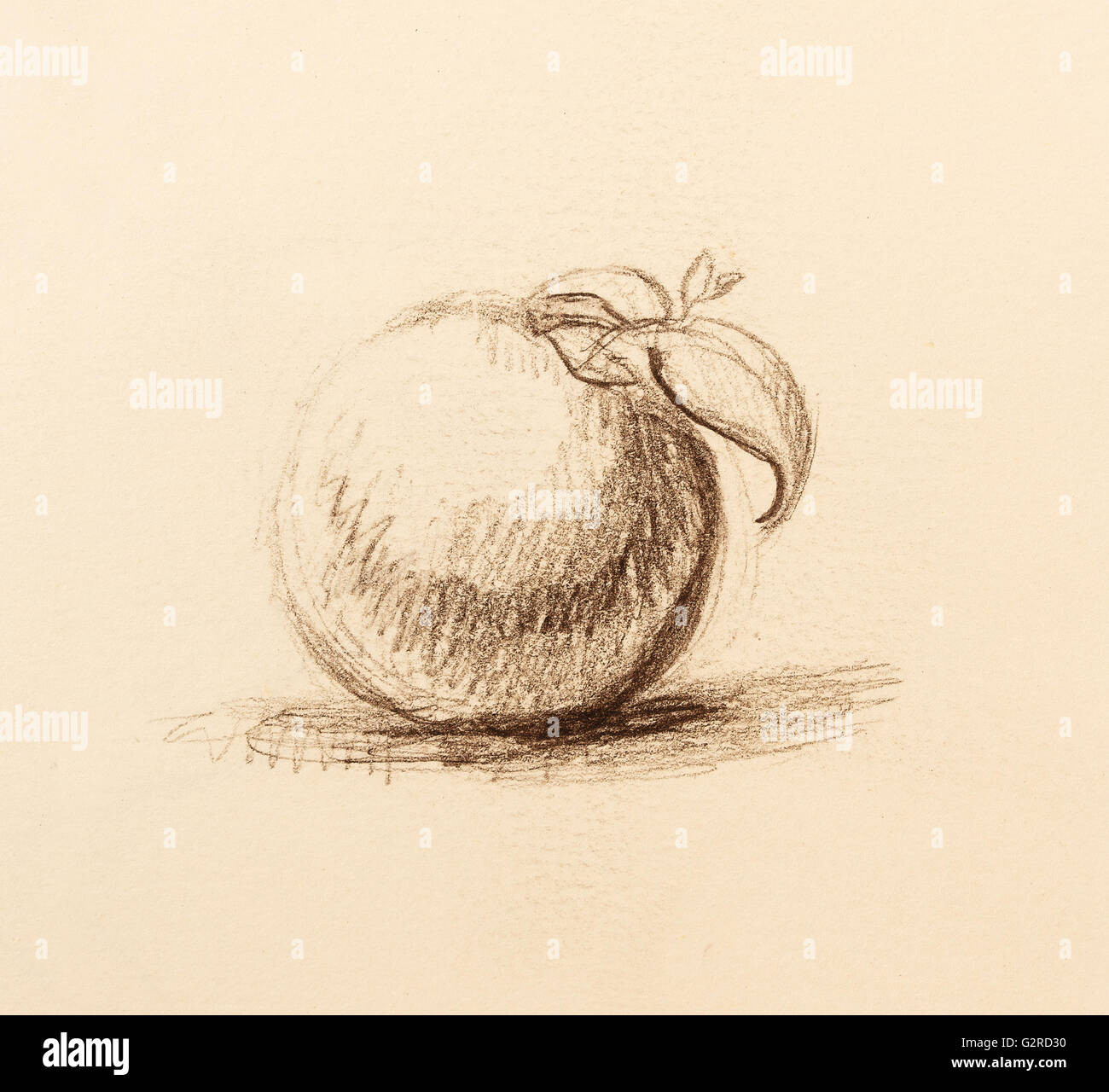 Dessin en couleur des fruits. Original de la dessiner et collage de l'ordinateur. La structure de couleur. Banque D'Images
