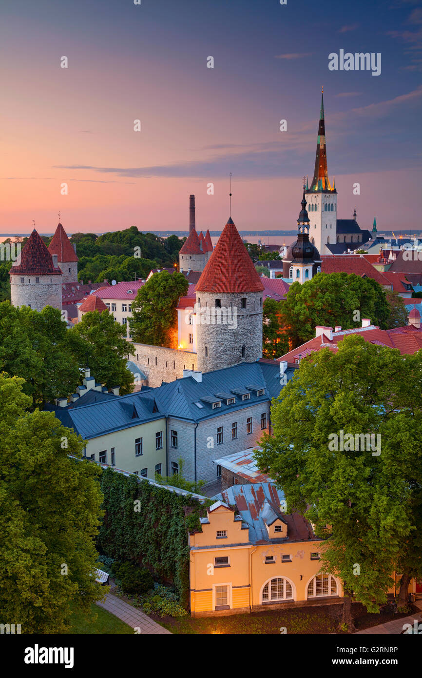 Tallinn. Droit de la vieille ville de Tallinn en Estonie pendant le coucher du soleil. Banque D'Images