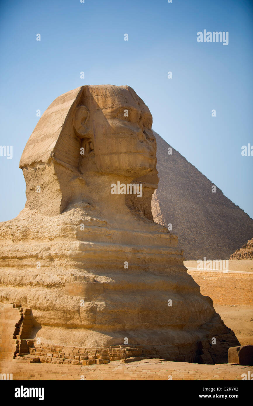 Guardian Sphinx gardant les tombes des pharaons de Gizeh. Le Caire, Egypte Banque D'Images