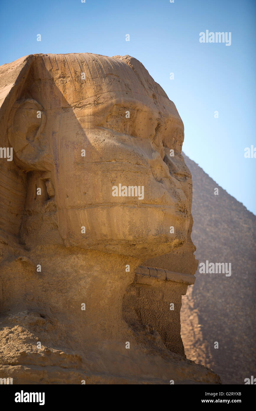 Guardian Sphinx gardant les tombes des pharaons de Gizeh. Le Caire, Egypte Banque D'Images