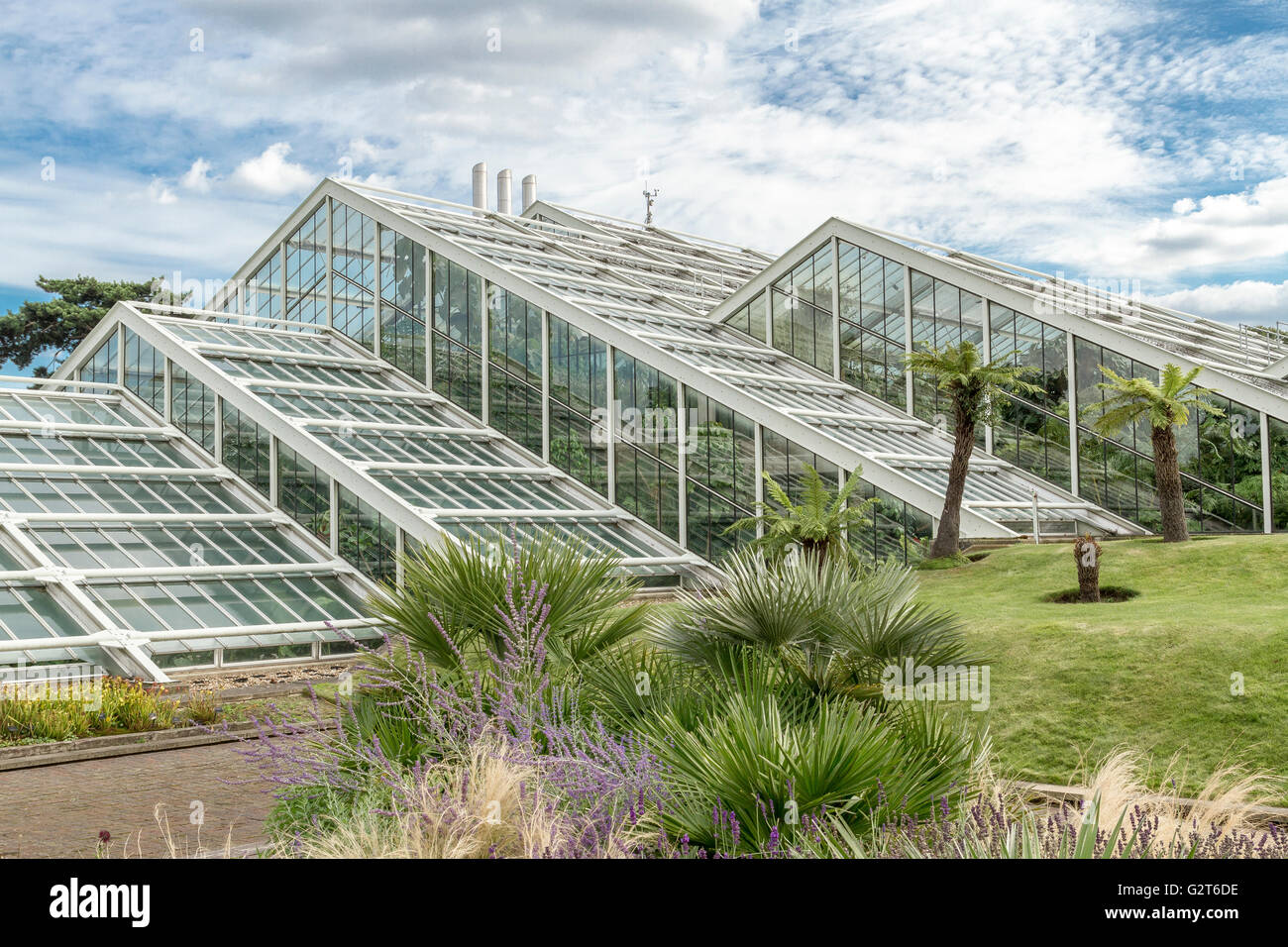 Le Princess of Wales Conservatory au Royal Botanic Gardens, Kew, ouvert en 1987 par la princesse Diana, Kew, Gardens, Londres, Royaume-Uni Banque D'Images