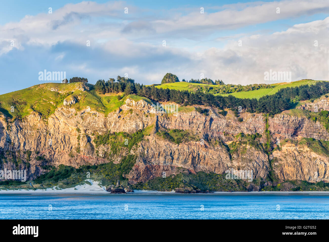 Falaise rocheuse avec Bush et les prairies sur le dessus à la Nouvelle-Zélande à Dunedin, près de l'île du sud de la région d'Otago - Ciel nuageux Banque D'Images