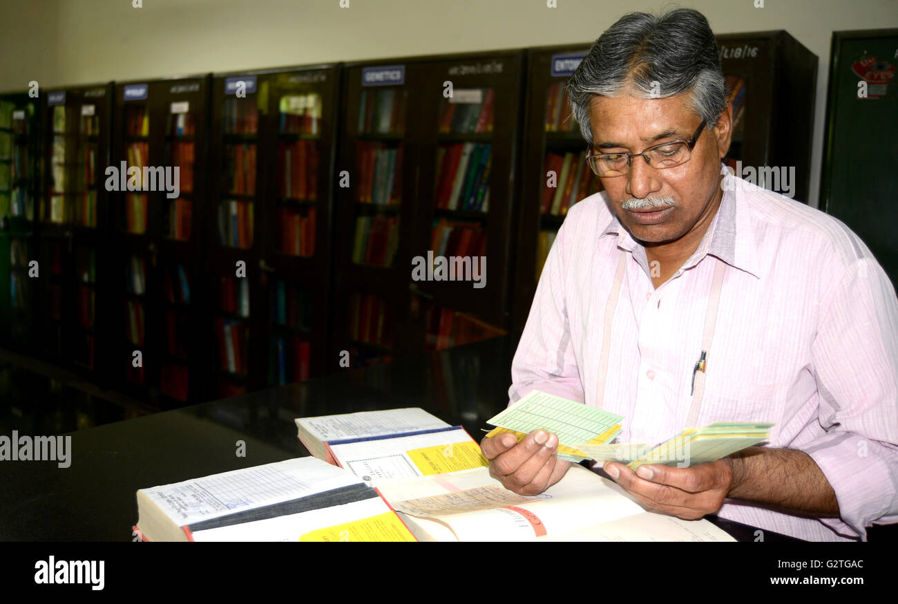 Bibliothécaire et Catalogue Banque D'Images