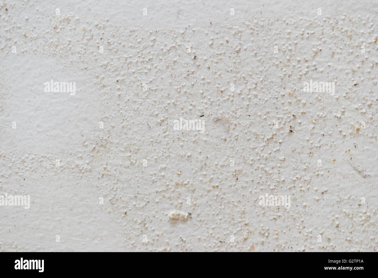 La texture du moule sur fond blanc mur amortie Banque D'Images