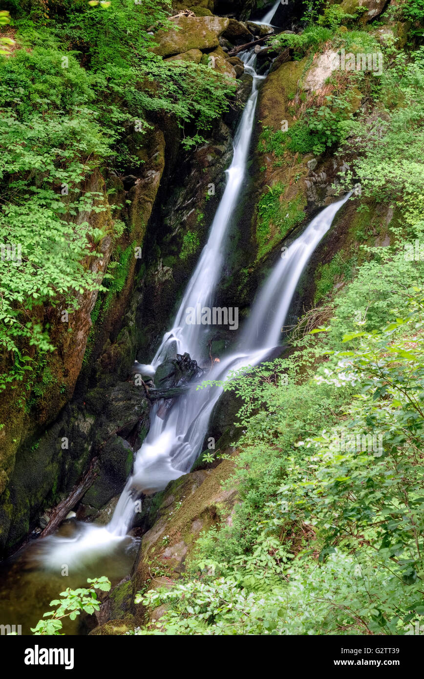 Ambleside, Stock Ghyll Force, Lake District, Cumbria, England, UK Banque D'Images