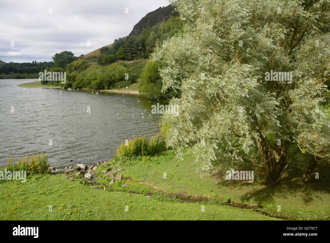 L'Écosse, Édimbourg, Duddingston Loch Duddingston, Village. Banque D'Images