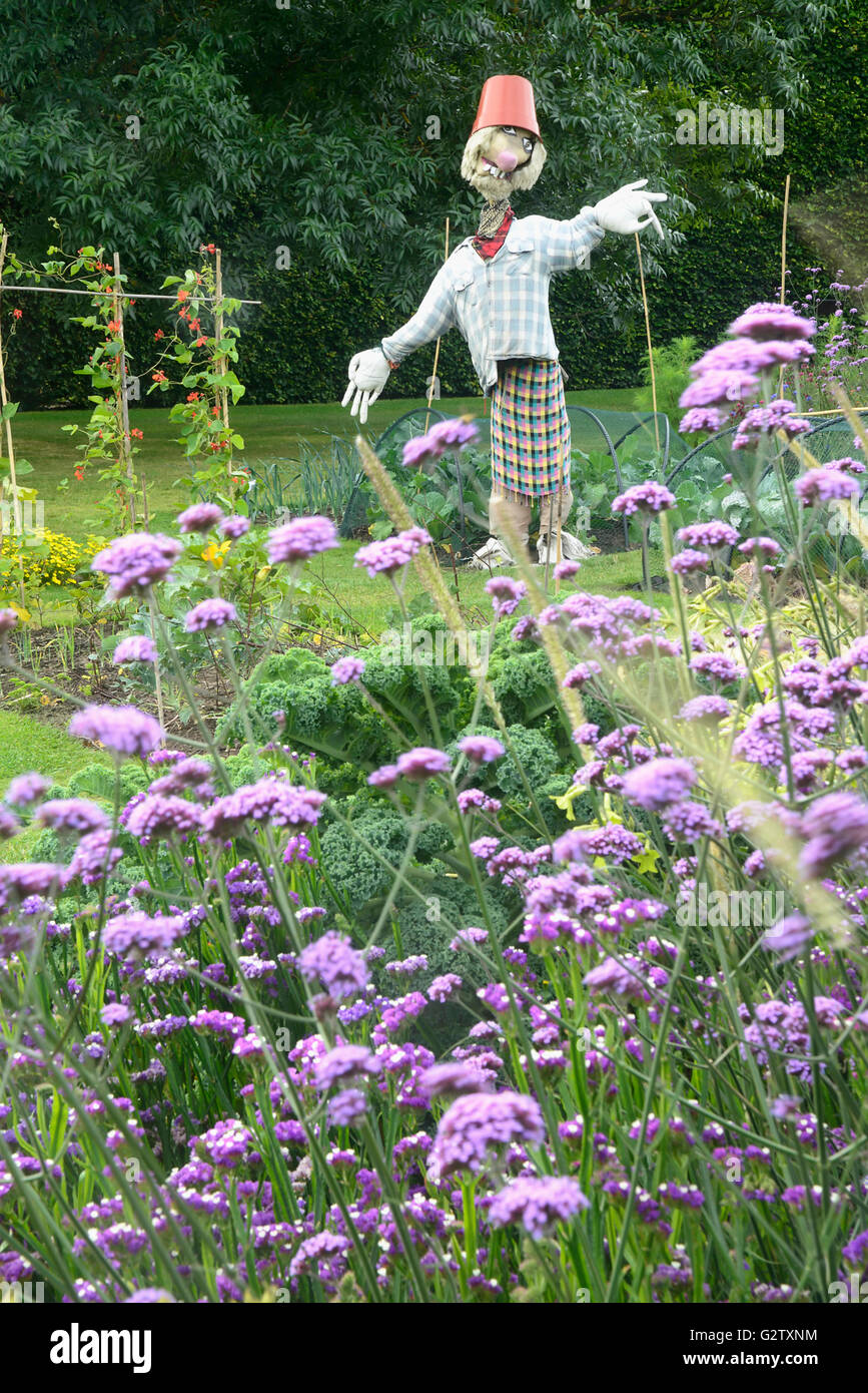 L'Ecosse, Edimbourg, Royal Botanic Gardens, la plantation d'épouvantail dans le jardin de démonstration. Banque D'Images