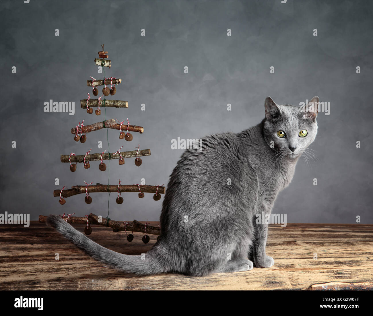 Chat avec l'arbre de Noël symbolique décoré de boulettes de nourriture chat Banque D'Images