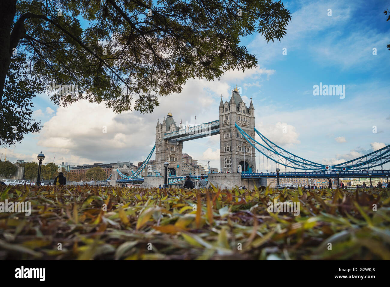 Belle vue sur le Tower Bridge de Londres à travers les arbres et les feuilles d'automne. Banque D'Images