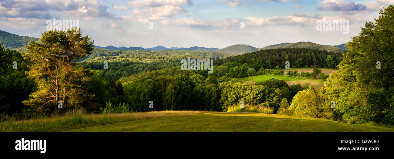 Panorama de la de la Forêt du Palatinat près de Dahn en Allemagne Banque D'Images