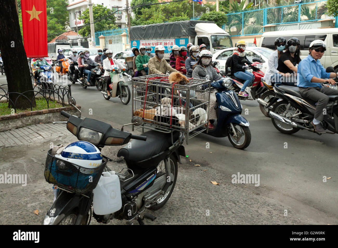 La vente de petits chiens sur la rue à moto surchargée de Saigon Banque D'Images