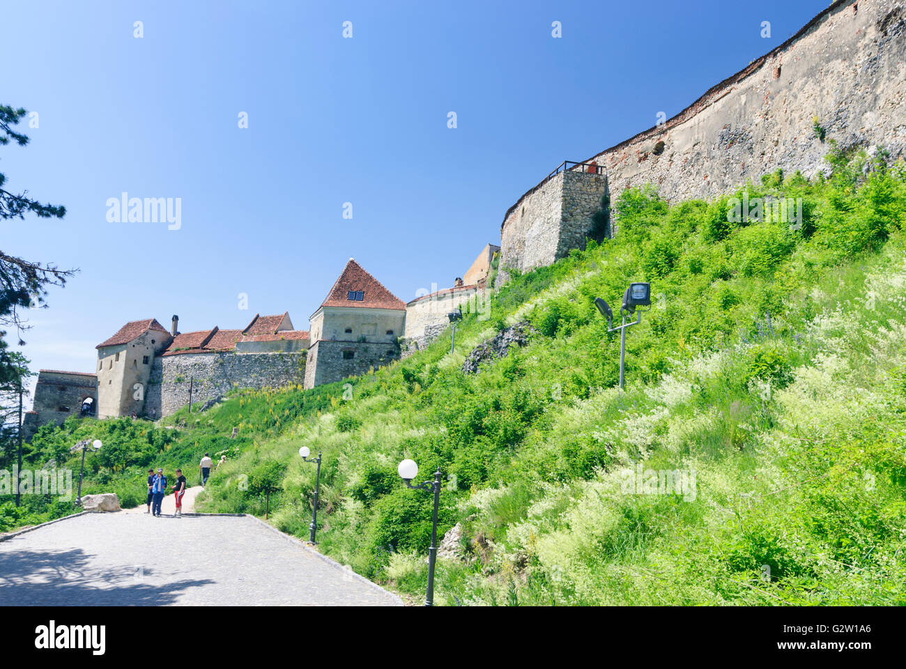 Château, Roumanie, Transylvanie, Transylvanie, Siebenbürgen (Transsilvanien) , Brasov (Rosenau) Banque D'Images