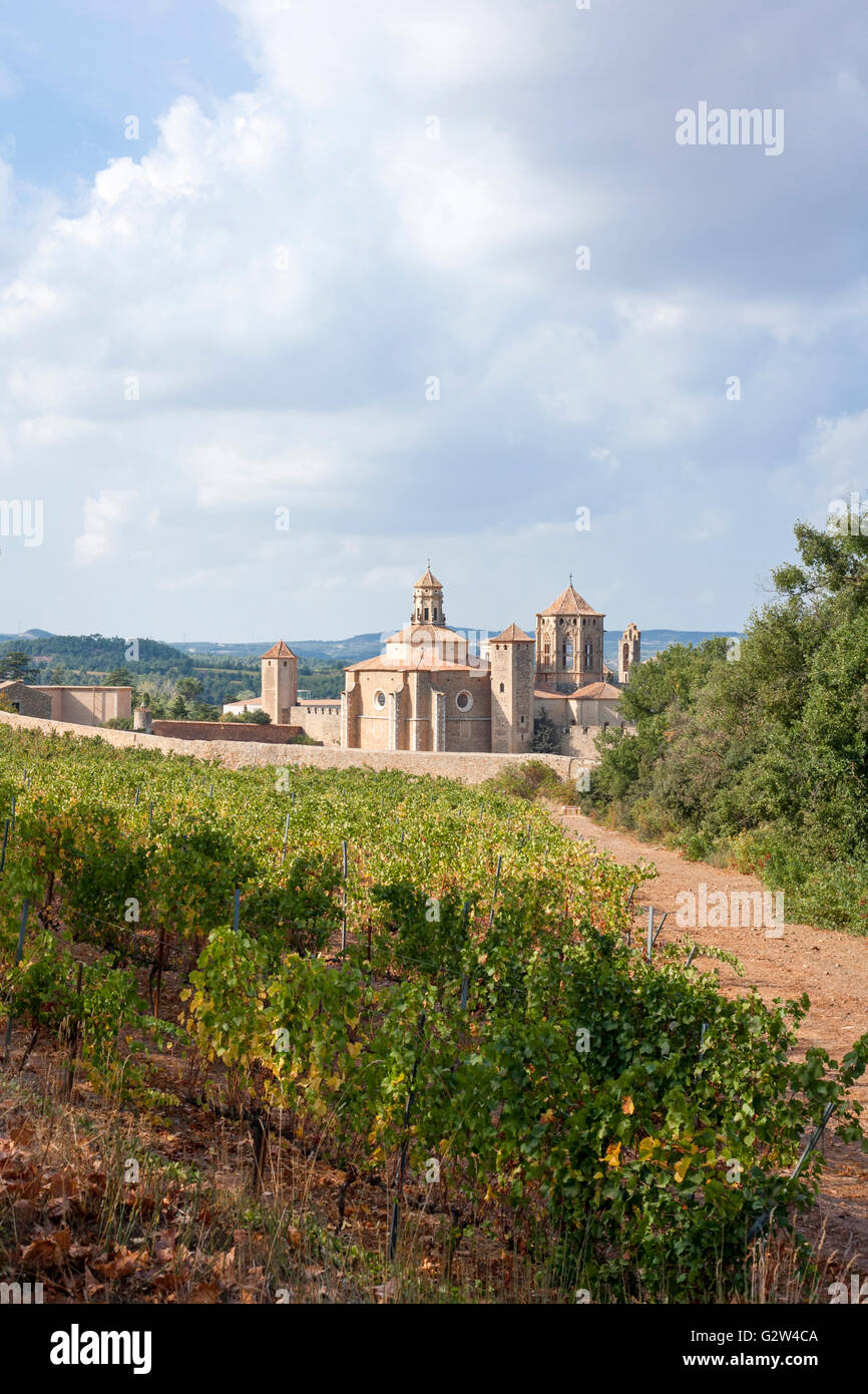 Belle vue de l'ancien monastère de Poblet en Catalogne, Espagne, et un vignoble en automne Banque D'Images