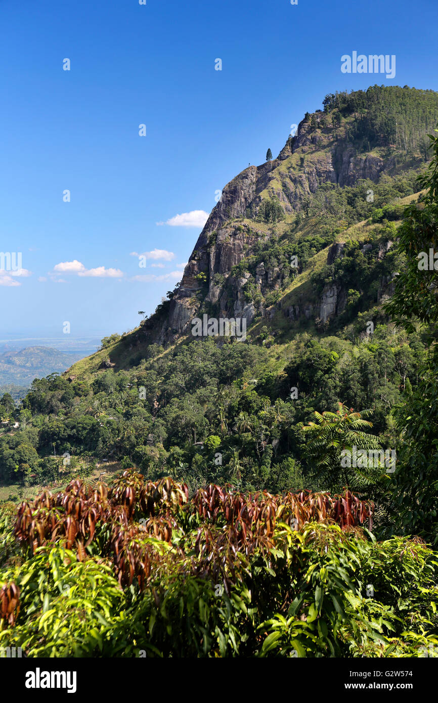 Sri Lanka, Highlands, Ella Rock, avec vue sur plaine côtière Banque D'Images