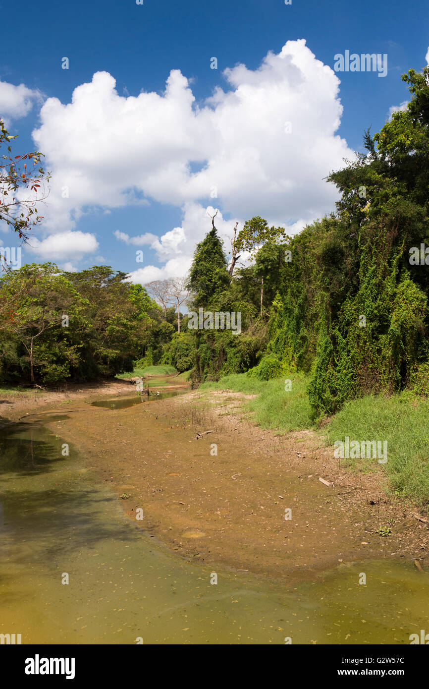 Le Sri Lanka, la Province d'Uva, Moneragala, Buduruwagala, temple bouddhiste antique, lac Banque D'Images