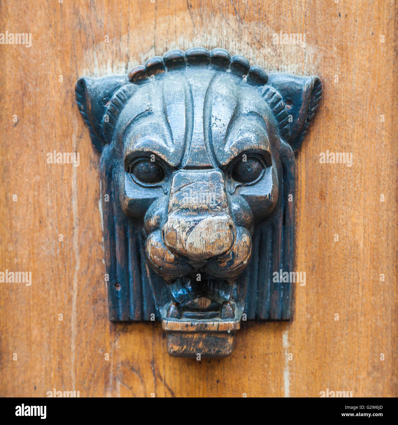 Poignée de porte ou de décoration - tête de lionne ou panther. Banque D'Images