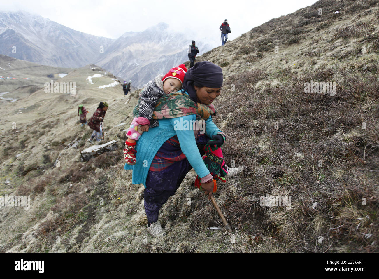 Partap Mer Rukum nepal Banque de photographies et d’images à haute résolution - Alamy