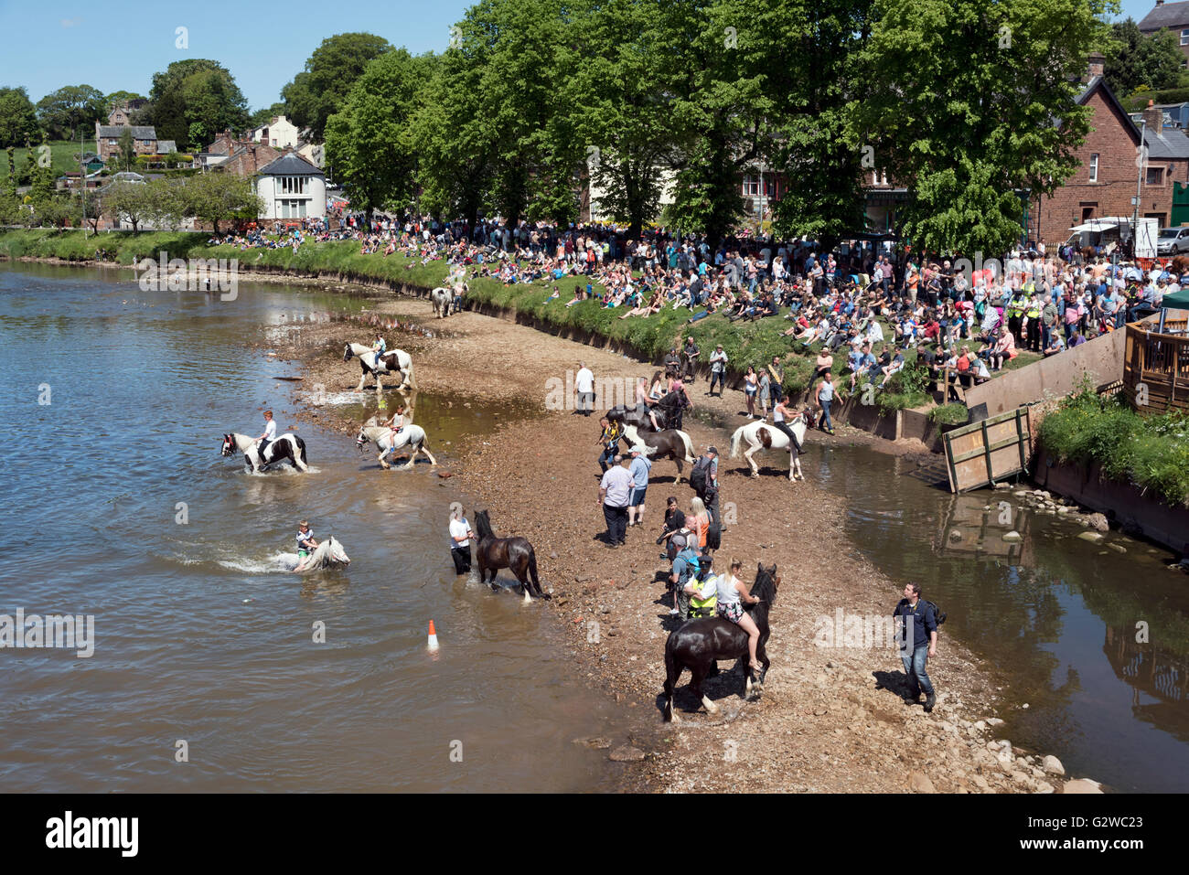 Le cheval traditionnel le laver dans la rivière Eden à Appleby Horse Fair, Cumbria, Royaume-Uni, le 3 juin 2016 Banque D'Images