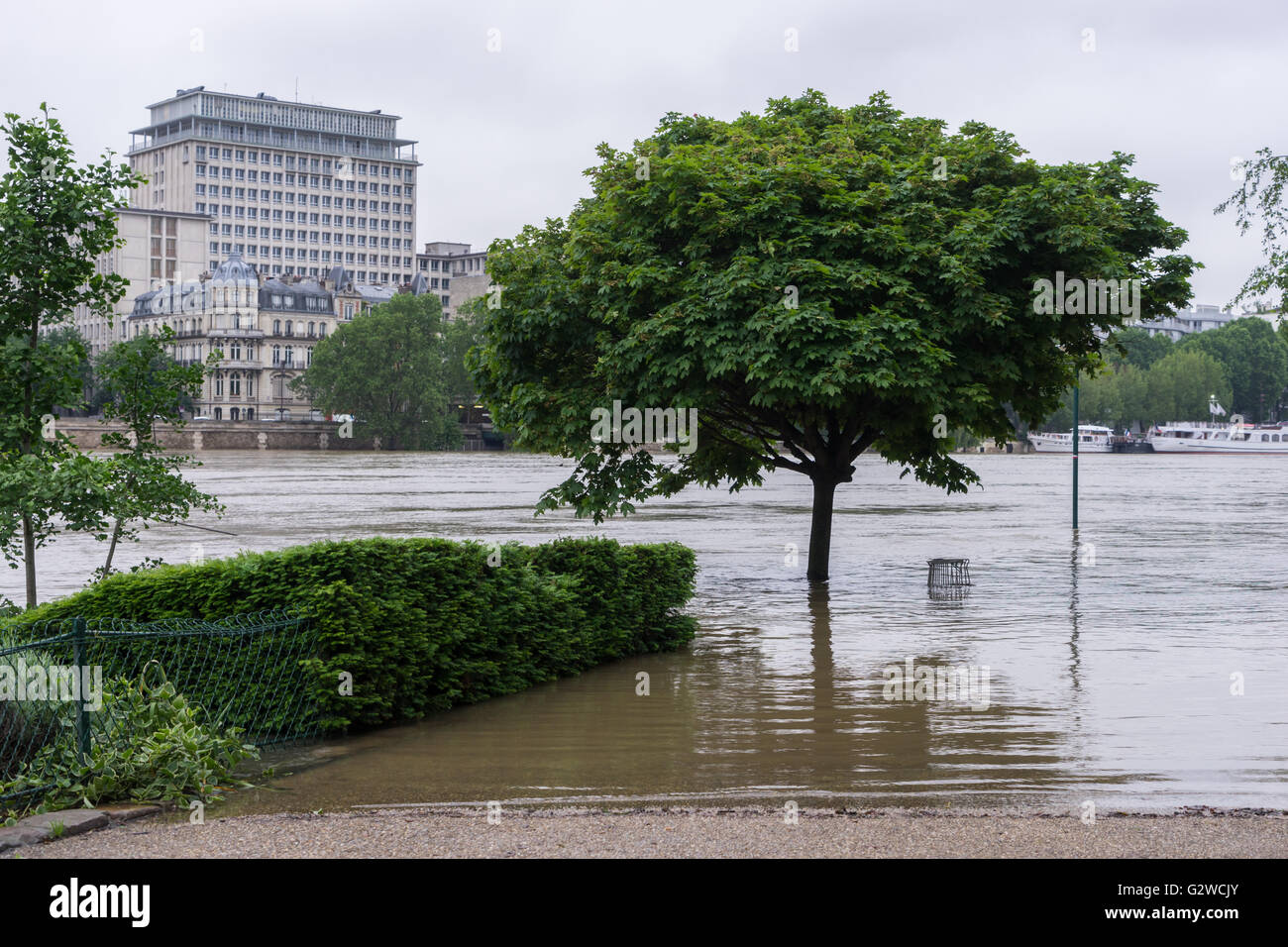 Les crues de la rivière Seine de juin 2016 à Paris, France Banque D'Images