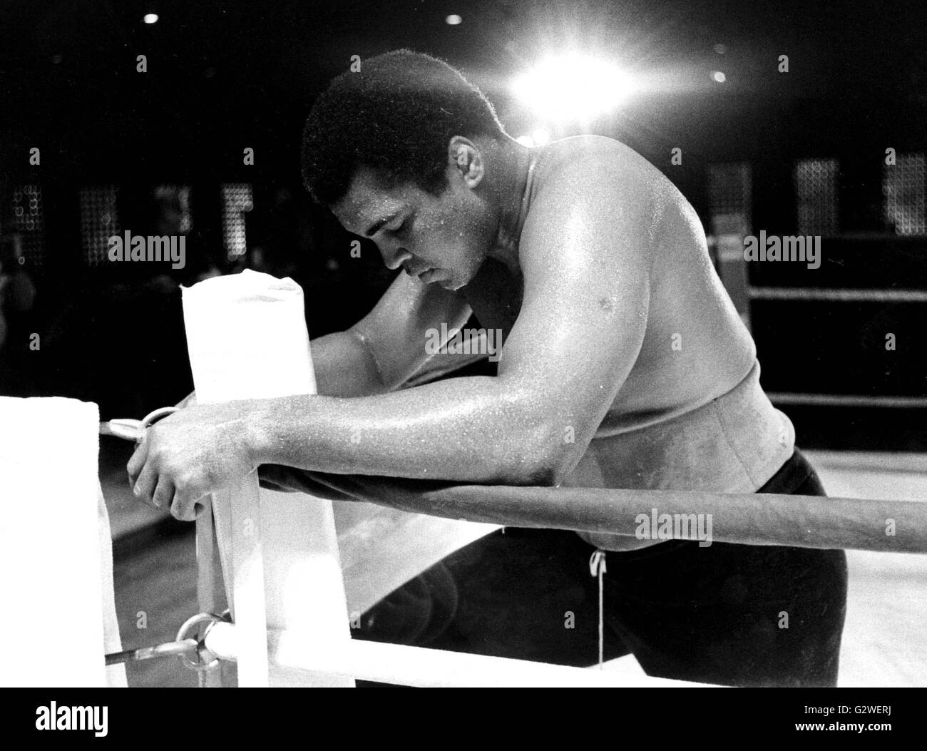 Le 17 décembre 2004 - Muhammad ALI DANS LES BAHAMAS 11-23-1981.© Pressens Bild/ © Globe Photos/ZUMAPRESS.com/Alamy Live News Crédit : ZUMA Press, Inc./Alamy Live News Banque D'Images