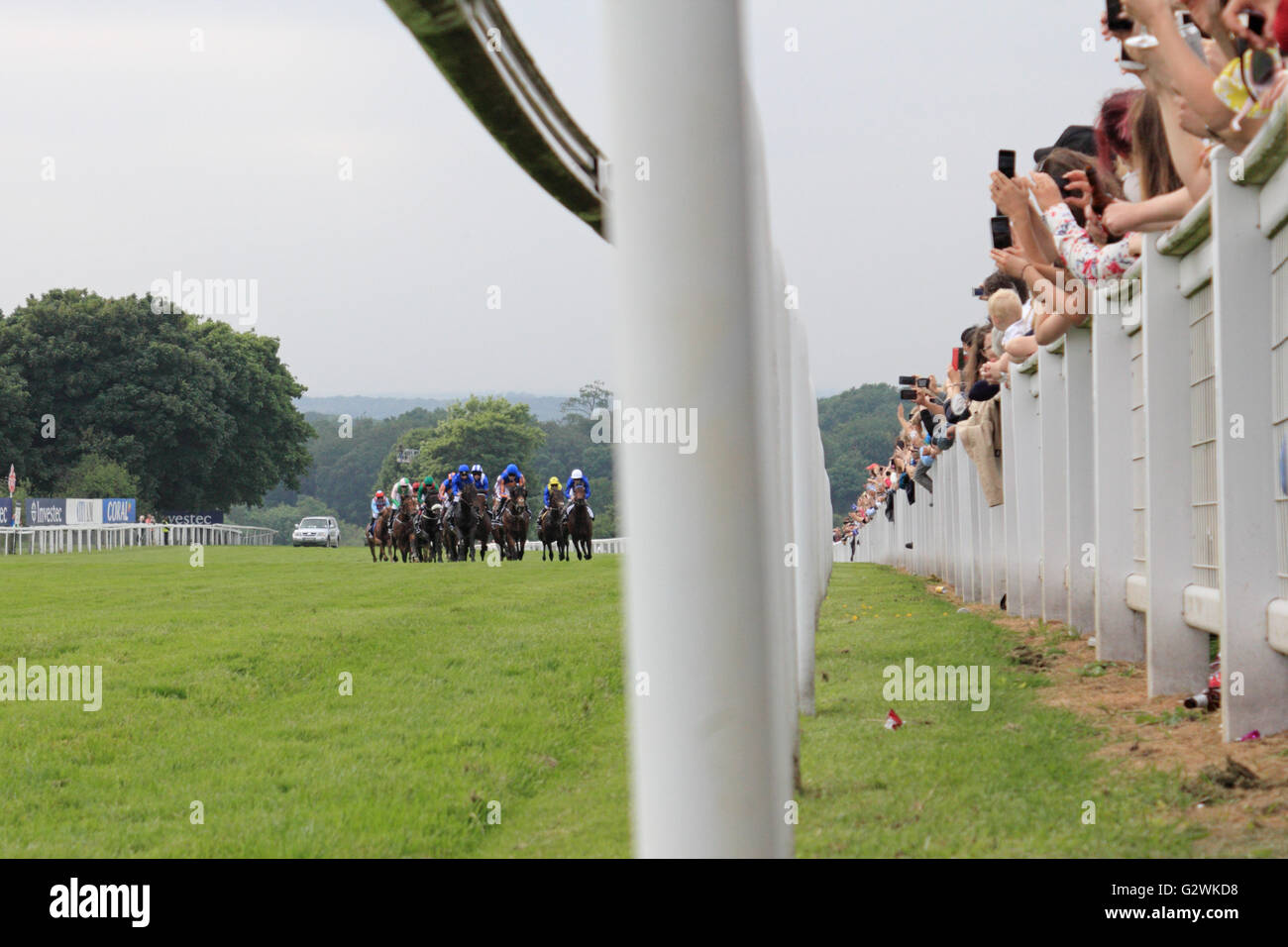 Epsom Downs, Surrey, Angleterre, Royaume-Uni. 4 juin 2016. Jour de Derby à Epsom Downs race course, où le monde célèbre courses de plat l'Investec Derby est la course principale de la journée. Les amateurs de course de prendre des photos comme les chevaux passer le marqueur 8 furlong. Banque D'Images