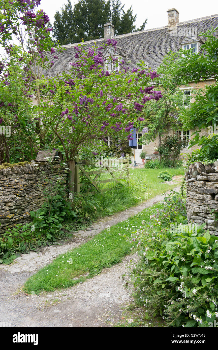 Lilas et barrière en bois en face d'un chalet en Ablington. Cotswolds, Gloucestershire, Angleterre Banque D'Images