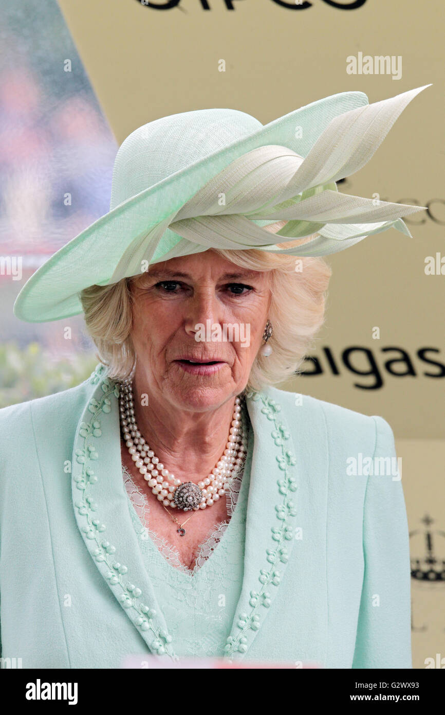 16.06.2015, l'Ascot , Berkshire, Grossbritannien - Camilla, H0ERZogin de Cornouailles et de Rothesay. 00S150616D729CAROEX.JPG - pas à vendre dans la région de G E R M A N Y, A U S T R I A, S W I T Z E R L A N D [communiqué de modèle : Non, des biens : Non, (c) caro photo agency / http://www.caro-images.com, info@carofoto.pl Sorge, - toute utilisation de cette photo est l'objet d'image !] Banque D'Images