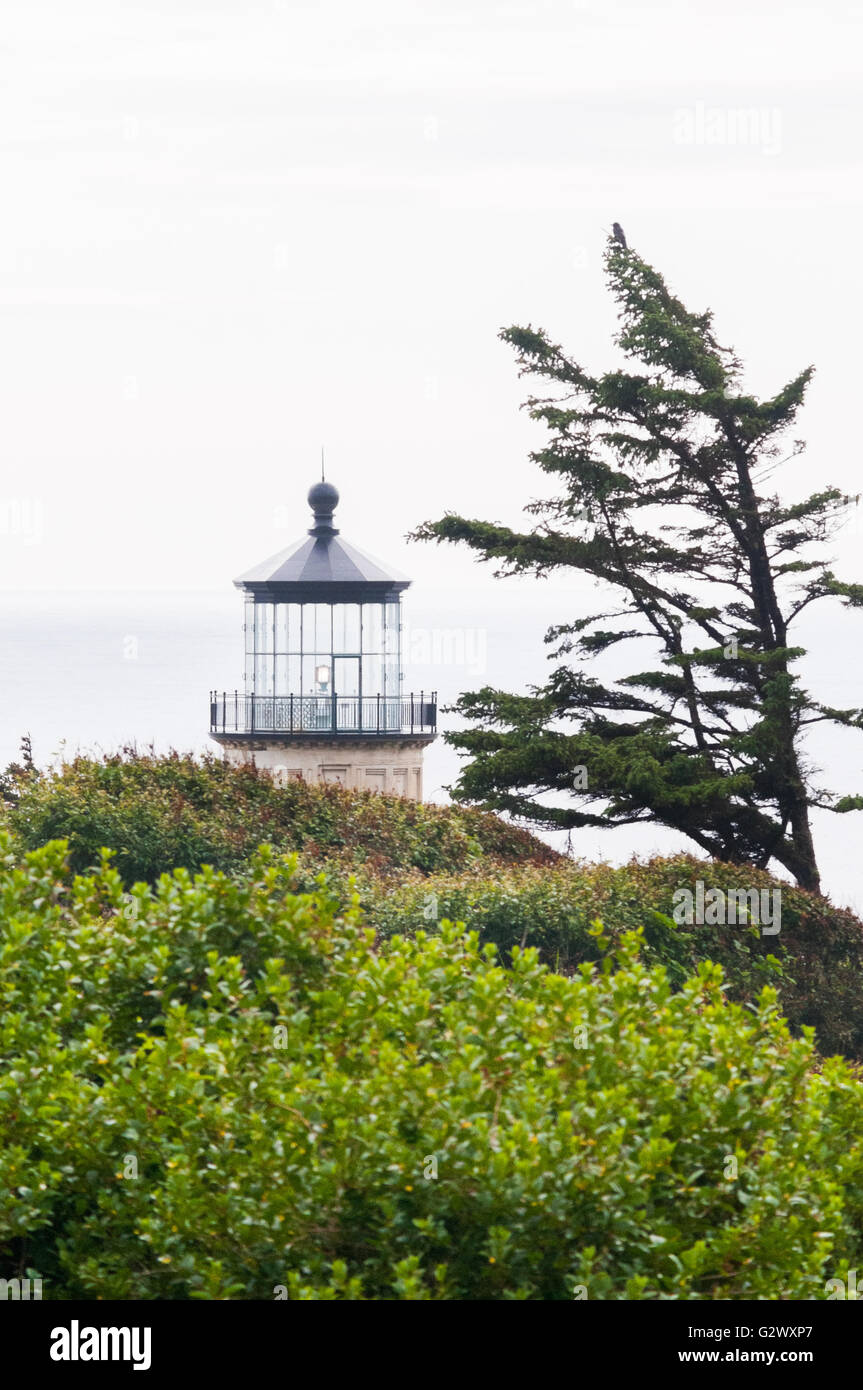 Le nord se dresse le phare de la tête au-dessus du feuillage au Cap déception State Park, Fez, Washington, USA. Banque D'Images