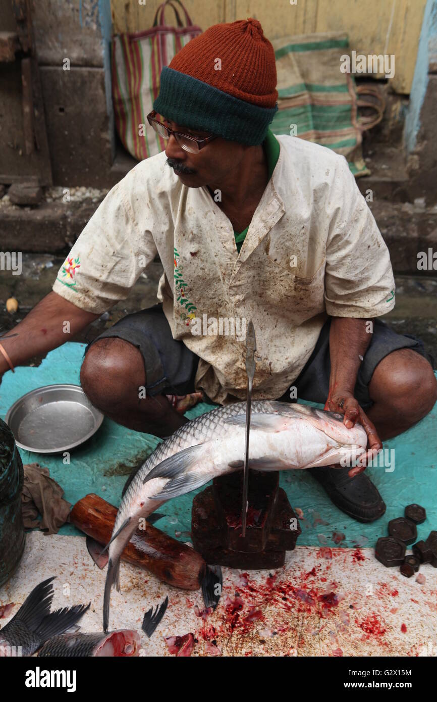 Un pêcheur couper du poisson pour la vente à une rue de Calcutta, où la majorité des gens mangent du poisson Banque D'Images