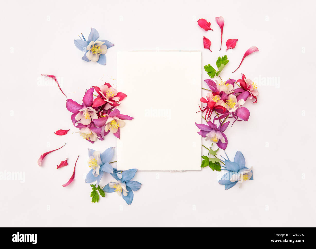 Couronne de fleurs ancolies avec skatchbook vide. Arrière-plan de mise à plat Banque D'Images