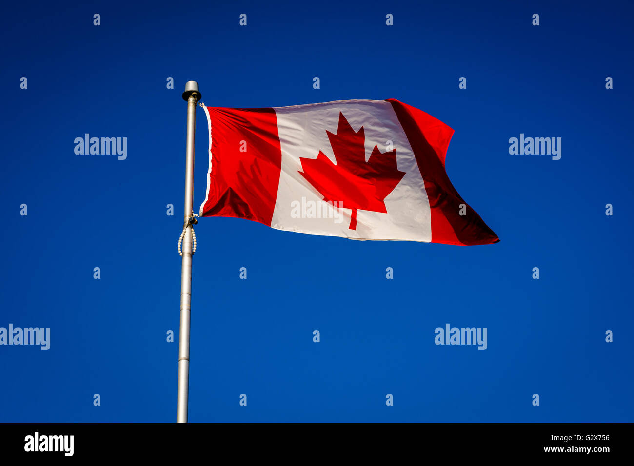 Le drapeau canadien à l'île Centre, à Toronto, en Ontario. Banque D'Images