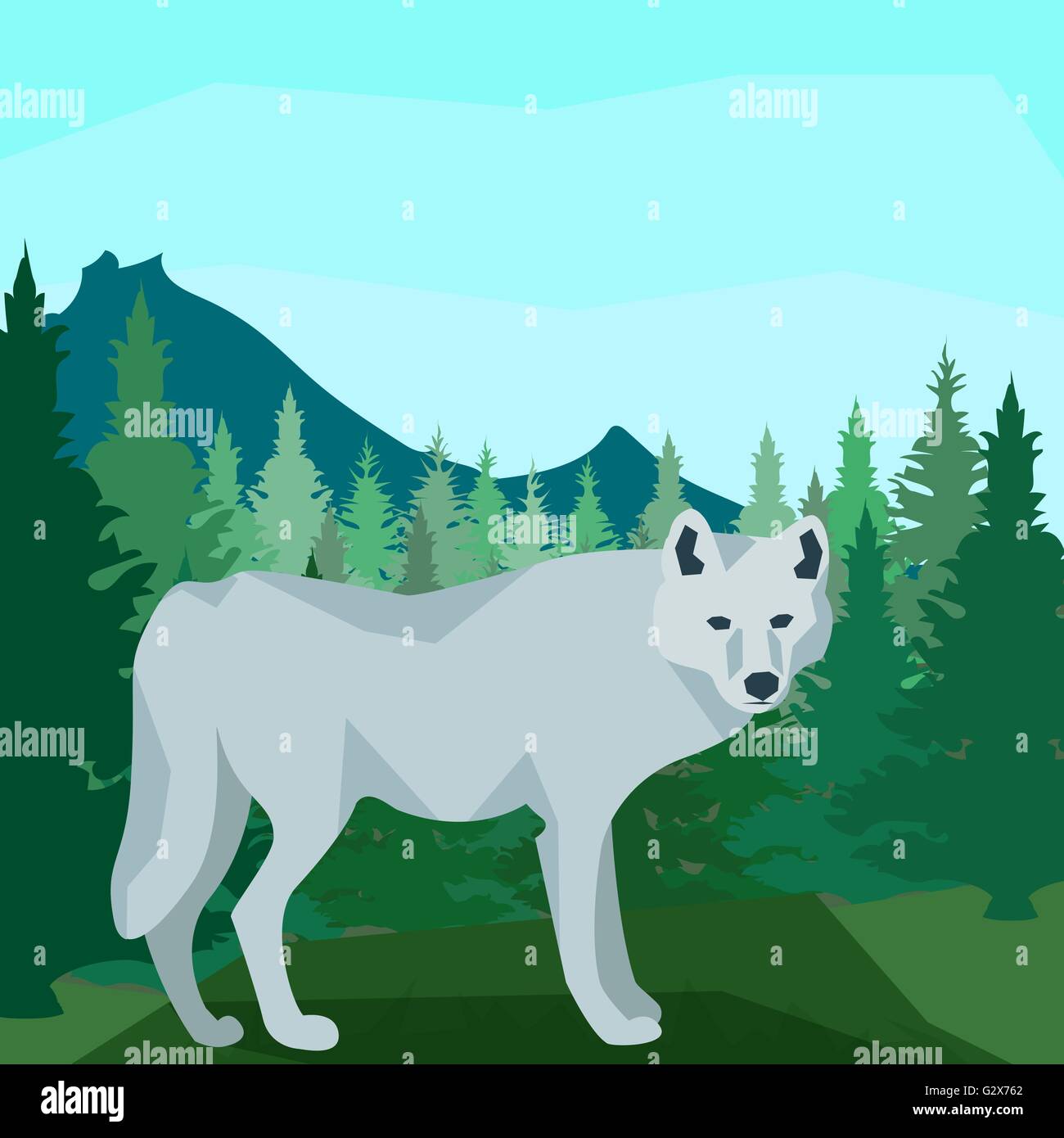 Loup dans la forêt de conifères, les animaux et la nature Illustration de Vecteur