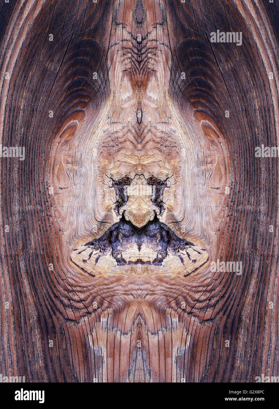 Nœud bizarre dans le bois rugueux texture en bois - Banque D'Images